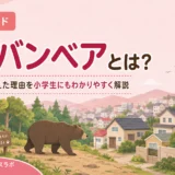 【注目ワード】アーバンベアとは？クマ被害が増えた理由を小学生にもわかりやすく解説